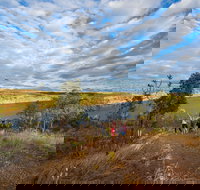 Pine Creek - New South Wales Tourism 