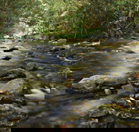 Plateau Circuit Loop Trail - New South Wales Tourism 