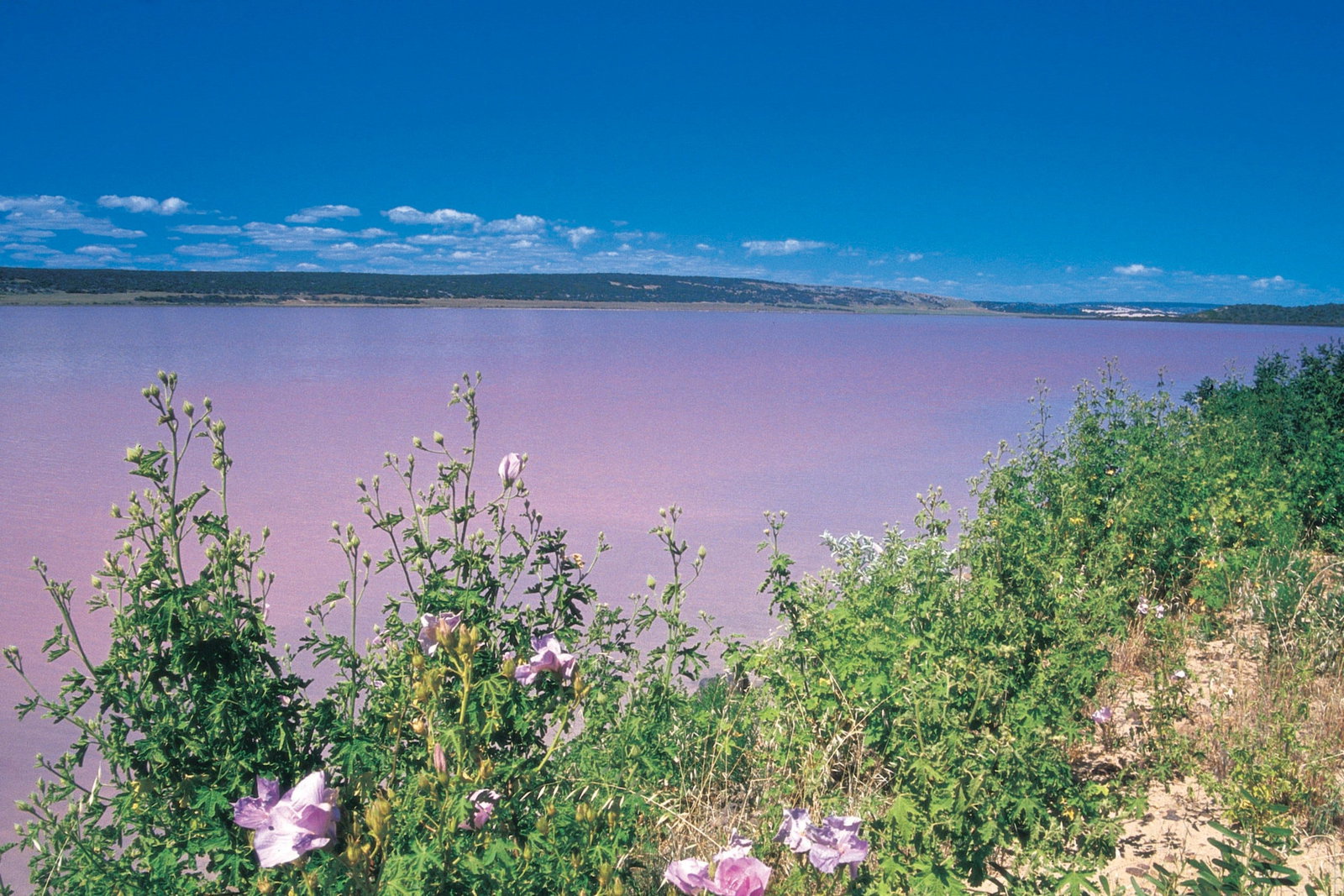 Gregory WA New South Wales Tourism 