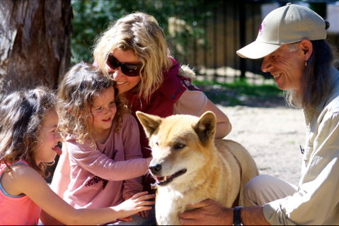 Potoroo Palace Native Animal Sanctuary - New South Wales Tourism  0
