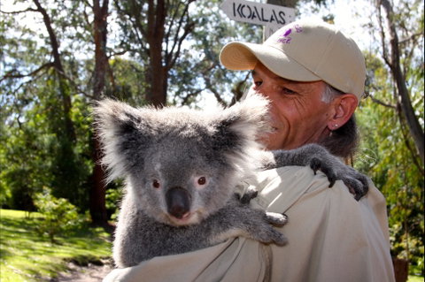 Potoroo Palace Native Animal Sanctuary - New South Wales Tourism  2
