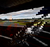 Reed Beds Bird Hide Boardwalk - New South Wales Tourism 