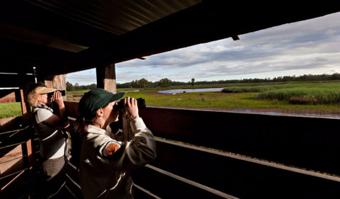 Reed Beds Bird Hide Boardwalk - New South Wales Tourism  0