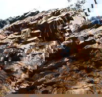 Rock Climbing in Morialta - New South Wales Tourism 