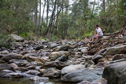 Rocksberg Park Heritage Reserve - New South Wales Tourism  0