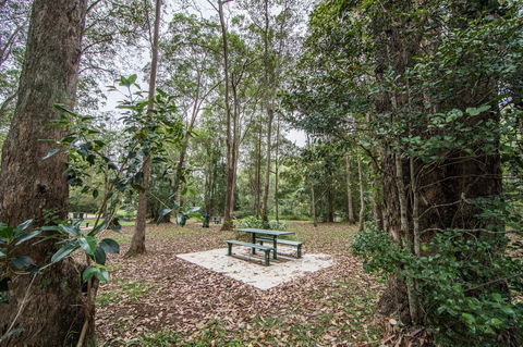 Rocksberg Park Heritage Reserve - New South Wales Tourism  1