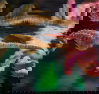 Seahorse World - New South Wales Tourism 