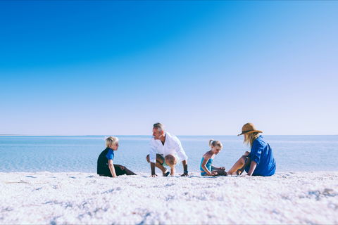 Shell Beach - New South Wales Tourism  1