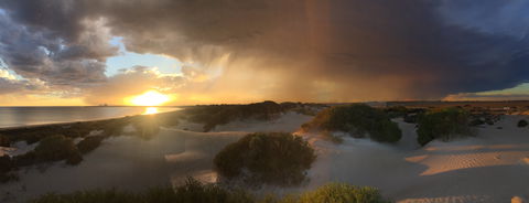 Shelly Beach Dune Walk Trail - New South Wales Tourism  2