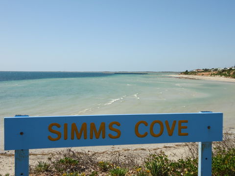 Simms Cove Lookout And Beach, Moonta Bay - New South Wales Tourism  0