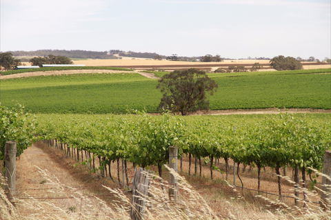 Smidge Wines Tasting Room - New South Wales Tourism  0