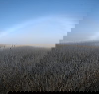 Sutton - New South Wales Tourism 