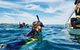 Swim With Dolphins Day Trip - thumb 0