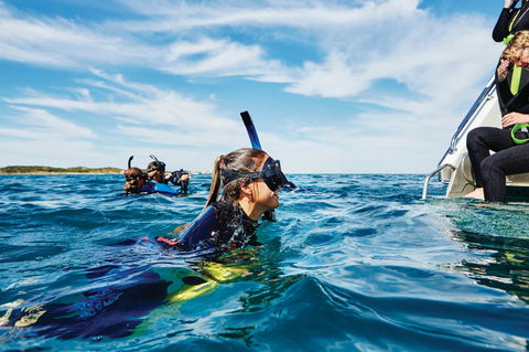 Swim With Dolphins Day Trip - New South Wales Tourism  0