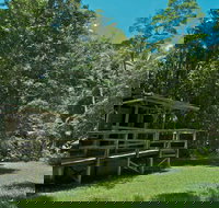 Terania Creek Picnic Area - New South Wales Tourism 