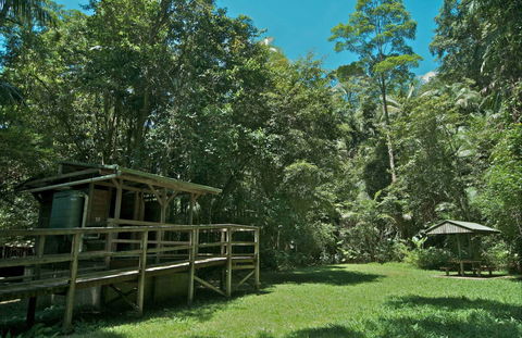 Terania Creek Picnic Area - New South Wales Tourism  0