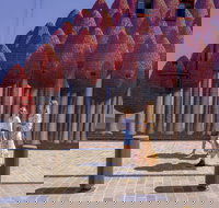 The Bourke Street Link - New South Wales Tourism 