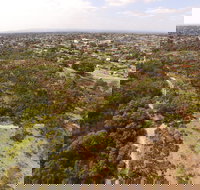 The Pines Flora and Fauna Reserve - New South Wales Tourism 