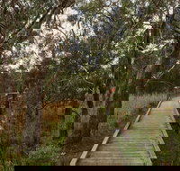 The Briars Park Walking Trails - New South Wales Tourism 