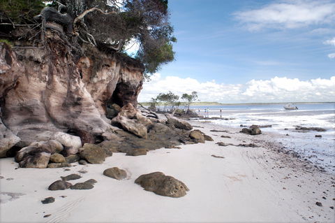 Tinnanbar - New South Wales Tourism  0