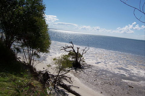 Tinnanbar - New South Wales Tourism  1