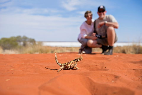 Tnorala (Gosse Bluff) Conservation Reserve - New South Wales Tourism  2