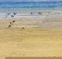 Towra Beach - New South Wales Tourism 