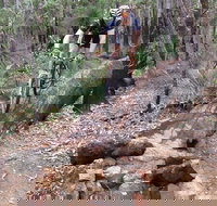 Turner Hill Mountain Bike Trail Murray - New South Wales Tourism 