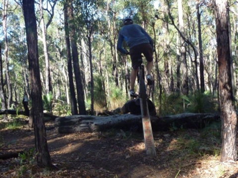Turner Hill Mountain Bike Trail, Murray - New South Wales Tourism  1
