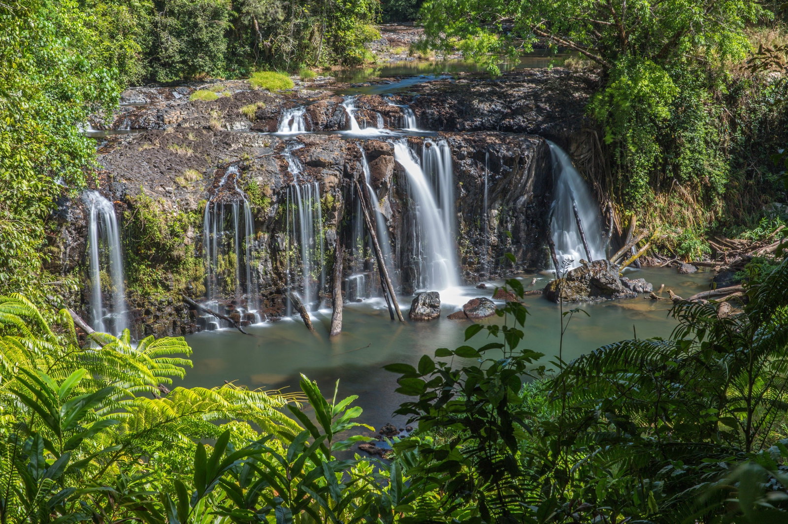 Wooroonooran QLD New South Wales Tourism 
