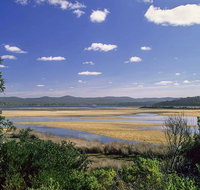 Wallagoot Lake Picnic Area and Boat Ramp - New South Wales Tourism 