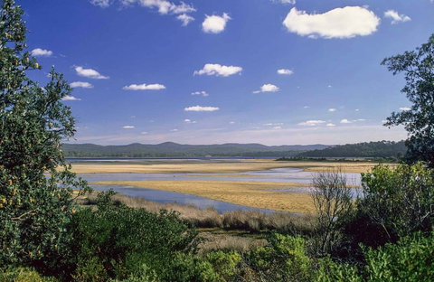Wallagoot Lake Picnic Area And Boat Ramp - New South Wales Tourism  0