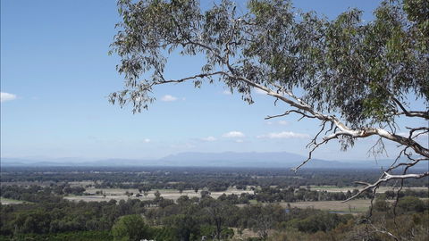 Warby-Ovens National Park - New South Wales Tourism  1