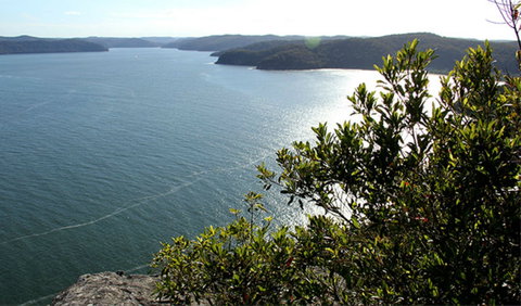 Warrah Lookout - New South Wales Tourism  0