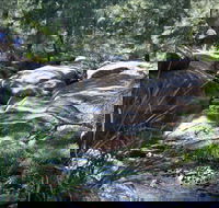 Washpools waterhole - New South Wales Tourism 