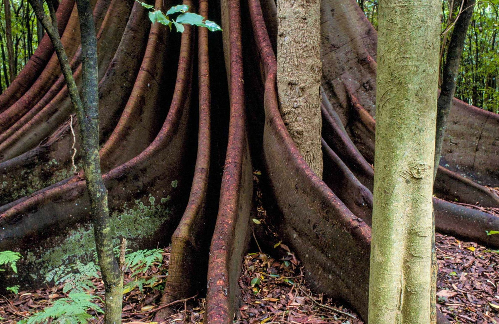 Mooral Creek NSW New South Wales Tourism