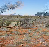 Winnecke Goldfield Cemetery - New South Wales Tourism 