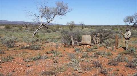 Winnecke Goldfield Cemetery - New South Wales Tourism  0