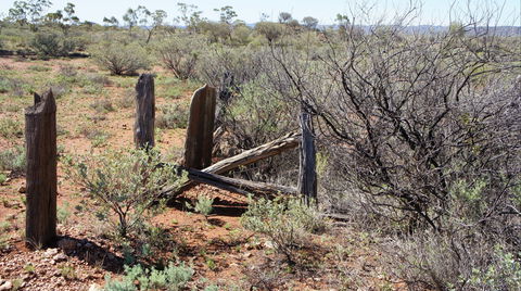 Winnecke Goldfield Cemetery - New South Wales Tourism  2