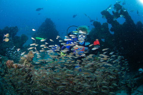 Aarhus Dive Site - New South Wales Tourism  0