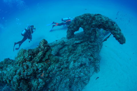 Aarhus Dive Site - New South Wales Tourism  1