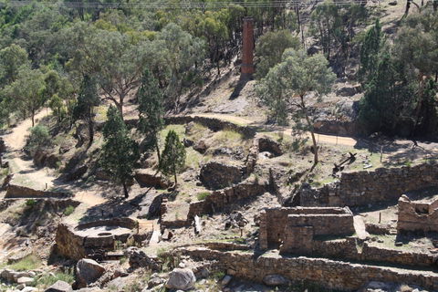 Adelong Falls Gold Mill Ruins - New South Wales Tourism  0