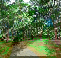 Adungadoo Pathway - New South Wales Tourism 