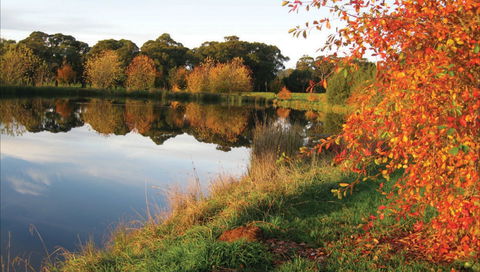 Alpine - New South Wales Tourism  0