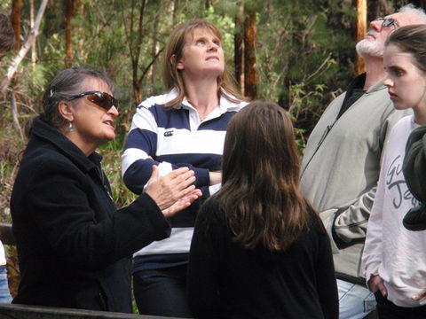 Ancient Empire Walk, Valley Of The Giants - New South Wales Tourism  1