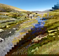 Australian Alps Walking Track - New South Wales Tourism 