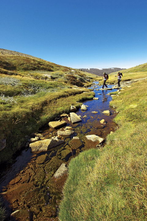 Australian Alps Walking Track - New South Wales Tourism  0