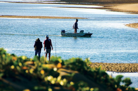 Ayr - New South Wales Tourism  0