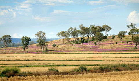Bell - New South Wales Tourism  1