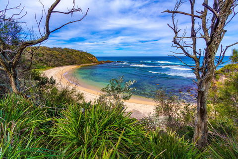 Bendalong (Inyadda) Beach - New South Wales Tourism  0